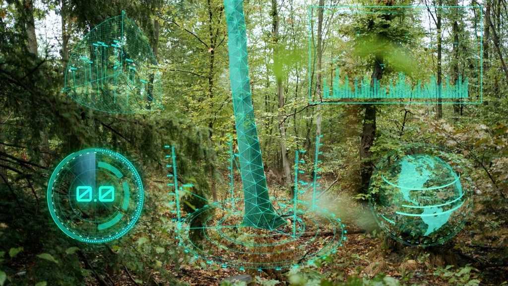 Protecting and Managing Forests with AI