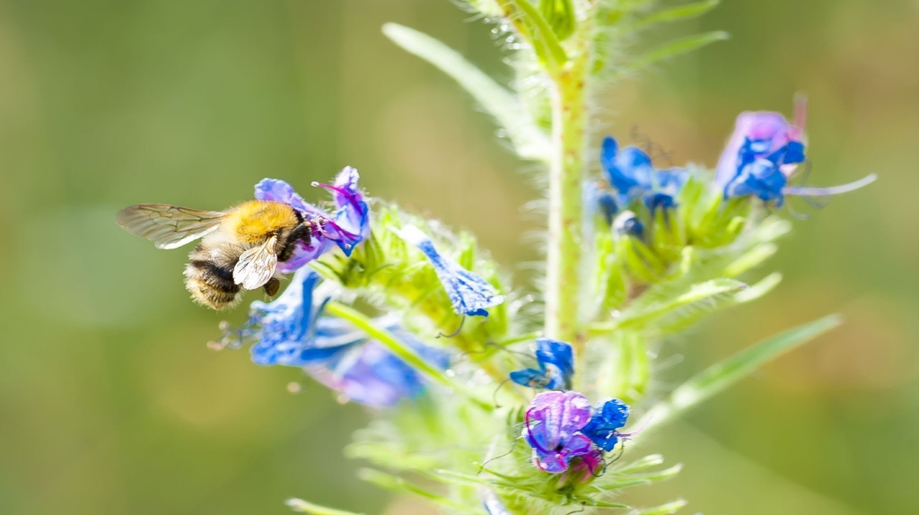 2023_029_Klima- und Biodiversitaetskrise duerfen nicht isoliert betrachtet werden.jpg