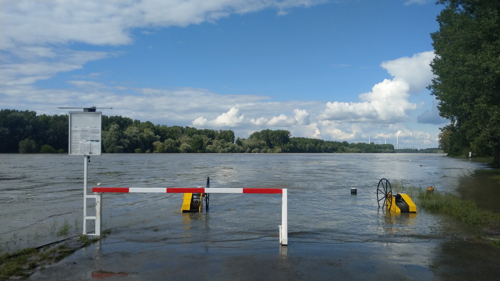 Rhein_Mörsch